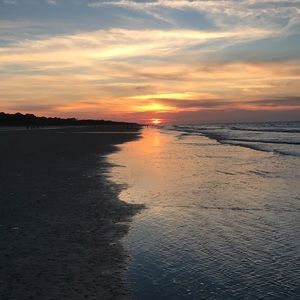 Meet your Posher, Molly